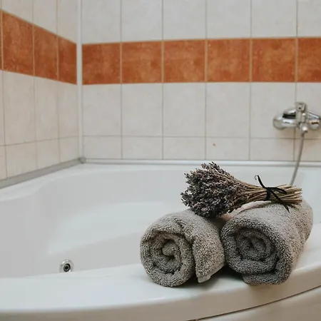 Apartmán Metija Lux With Private Sauna Kobarid